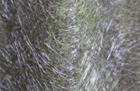 Cold Row fibreglass roof work